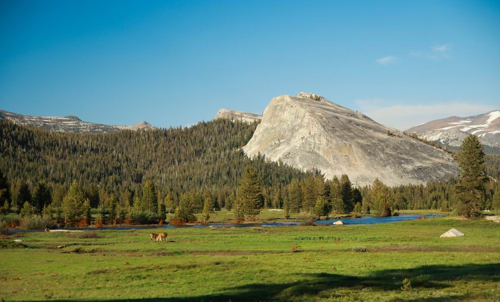 yosemite tuolumne meadows