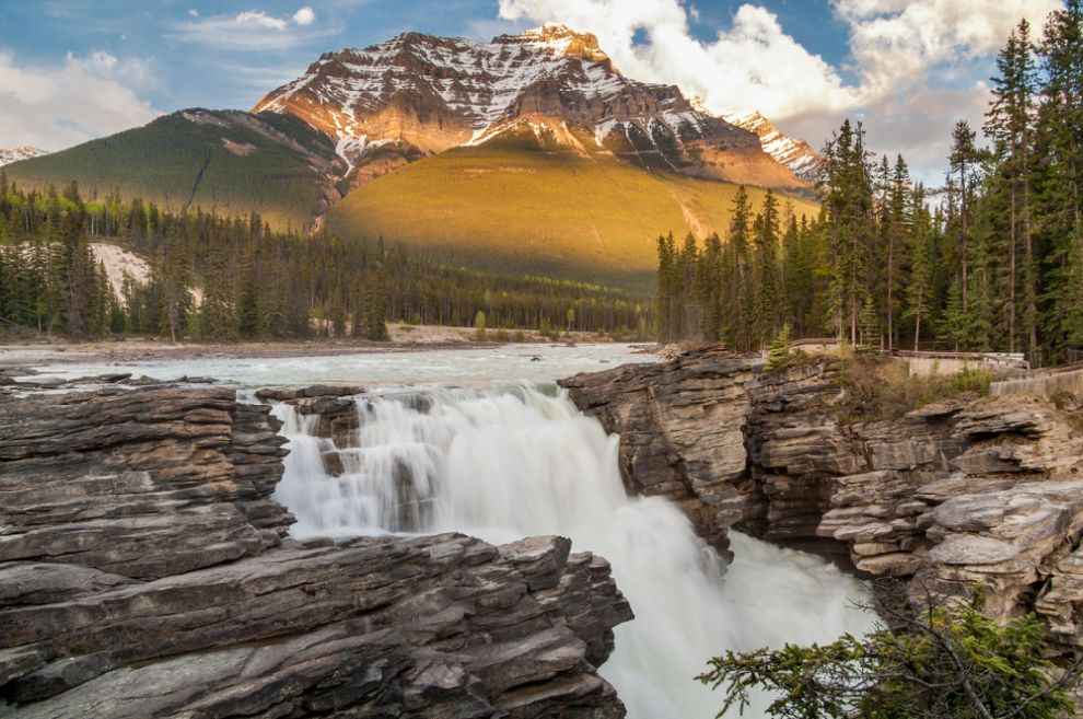 Athabasca vizeses, Jasper Nemzeti Park