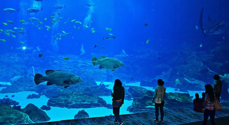 Atlanta aquarium