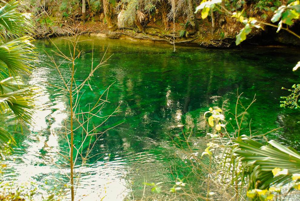 Ichetucknee Springs - Florida