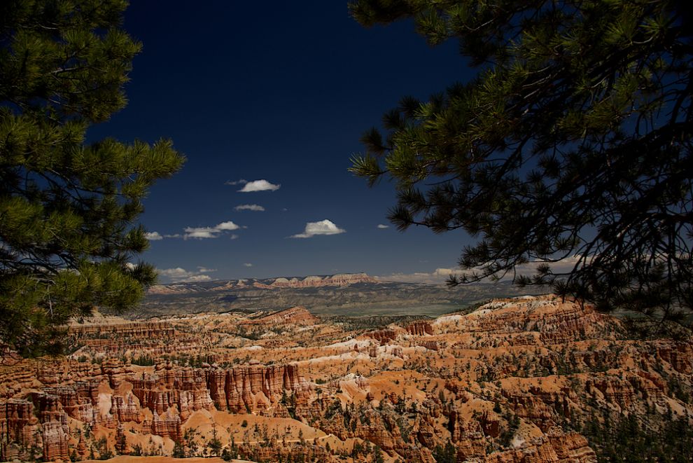 Rim Trail
