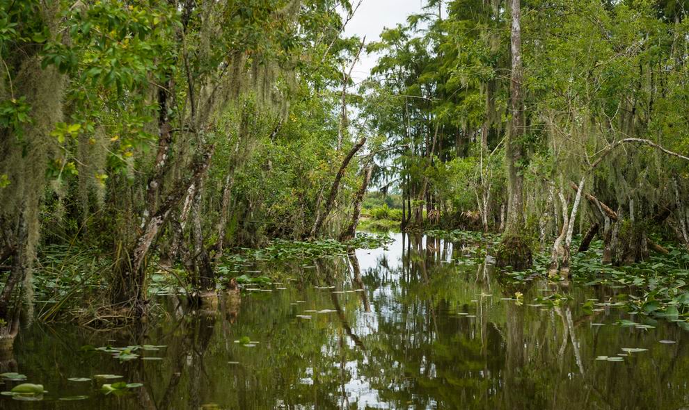 everglades national park - Florida