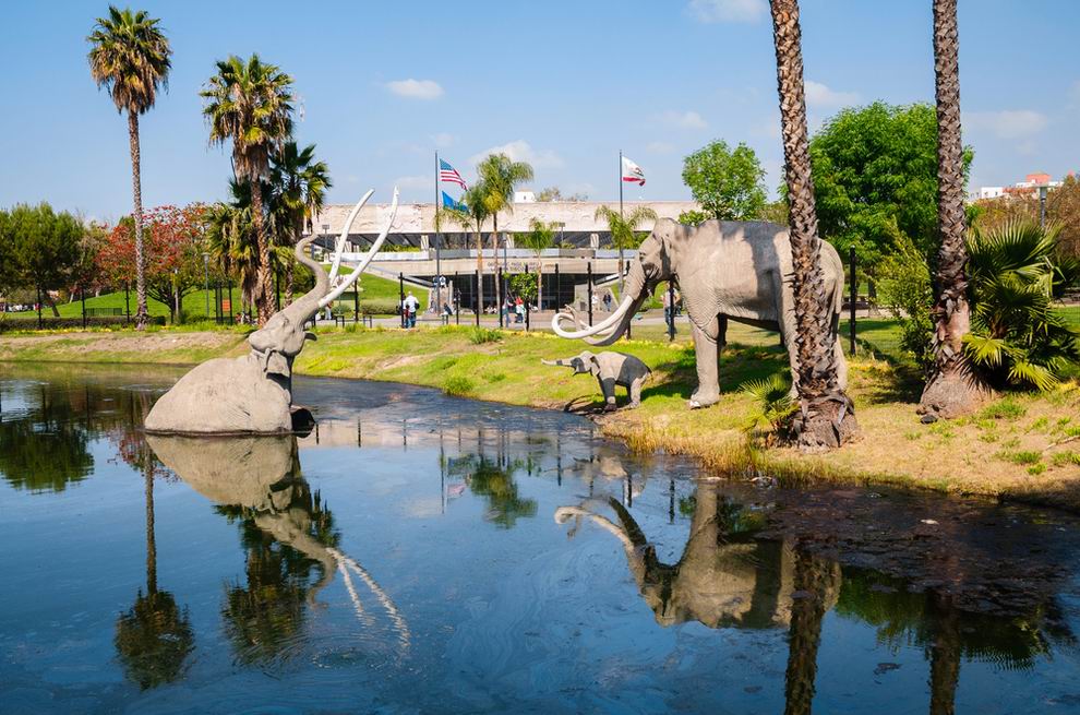los angeles la brea tar pits
