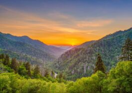 Great Smoky Mountains