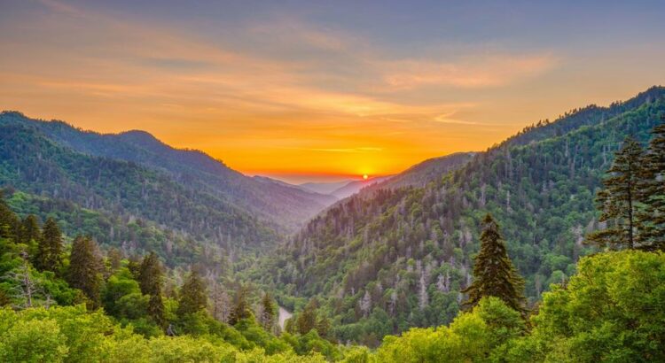 Great Smoky Mountains